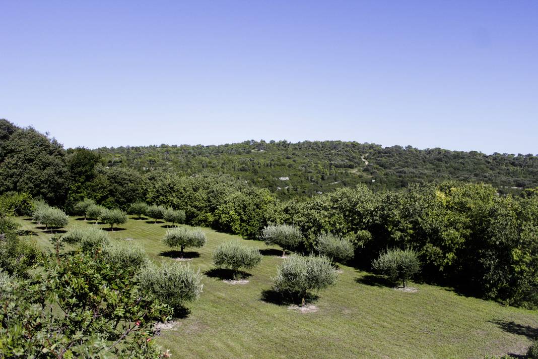 UZES_Promenade_Racine