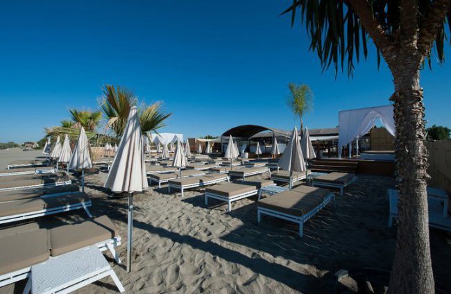 Palm Beach by Les Vagues