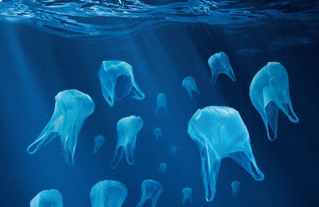 sac plastique
