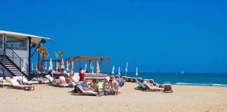 Hérault Archives Page 5 Sur 5 Grizette