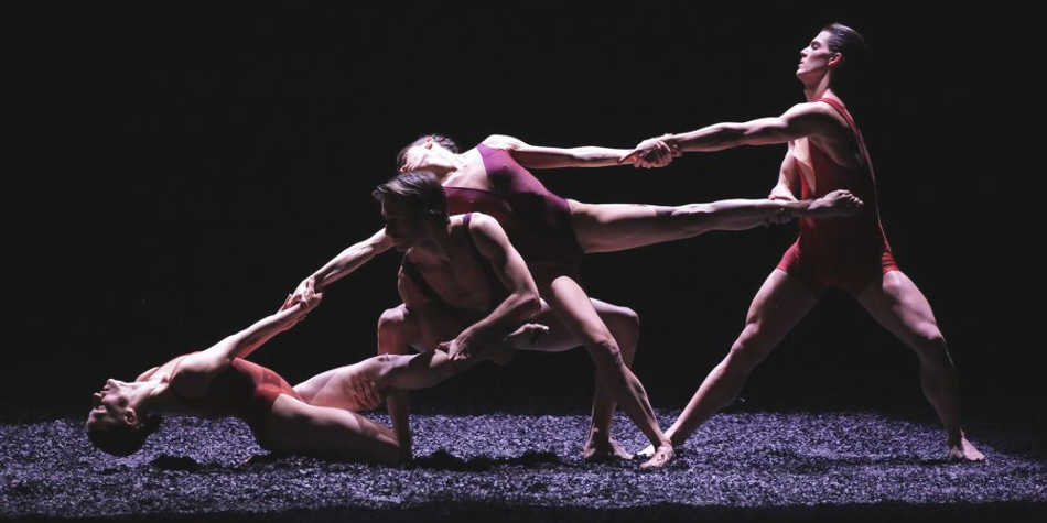 Montpellier Danse