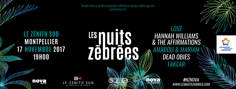 Nuit zébrée