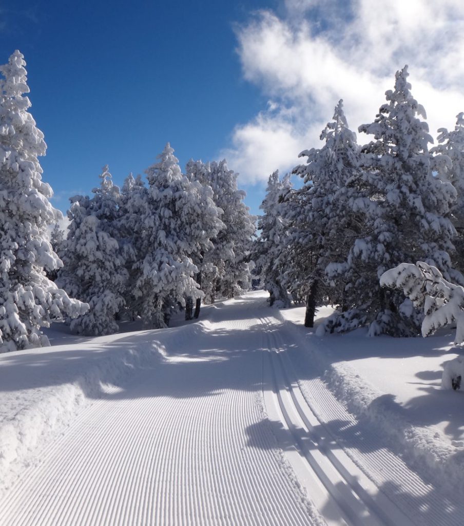 Font-Romeu Pyrénées 2000 - Ski dans les Pyrénées - Grizette