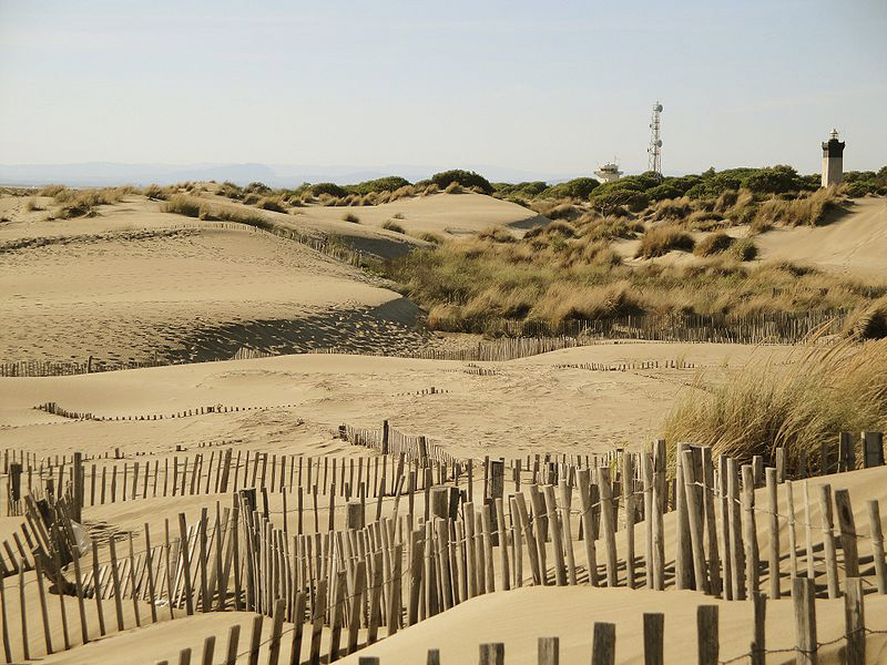 plage à Montpellier
