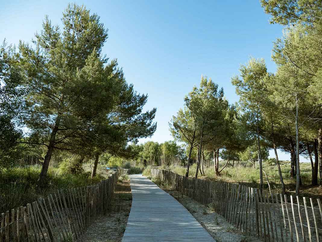 Plage à Montpellier