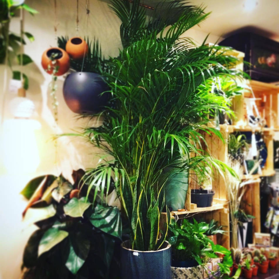 concept store à Toulouse