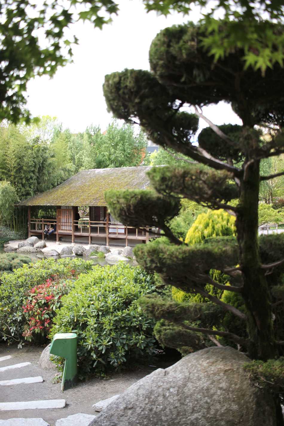 Jardin japonais