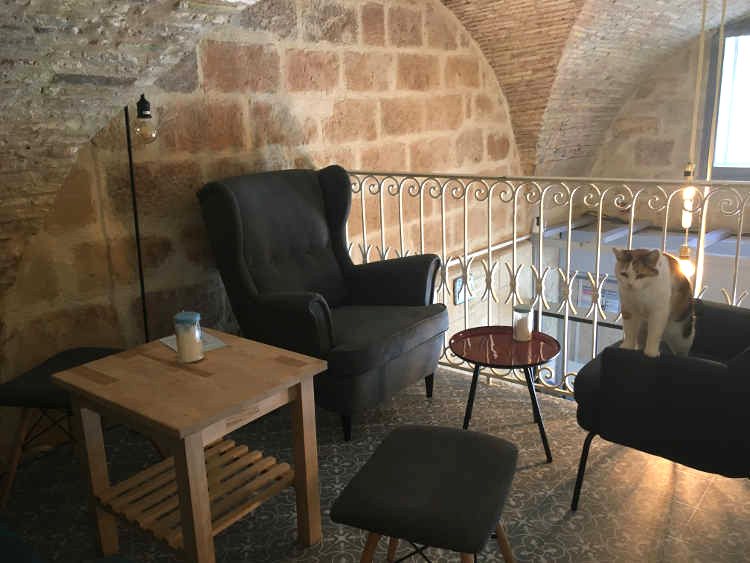Bar A Chats A Montpellier Un Gouter Qui Ronronne Grizette Bar A Chats A Montpellier Un Gouter Qui Ronronne Grizette