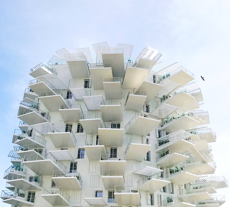 L'Arbre Blanc