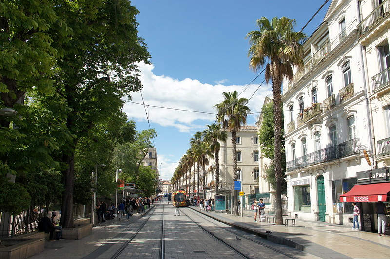 Rue Maguelone Écusson Montpellier