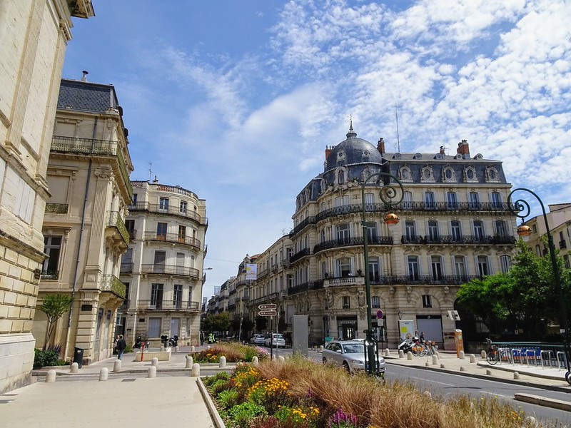 Rue Foch Écusson Montpellier