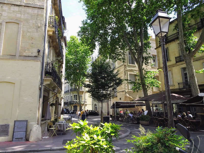 Rue du Palais des Guilhem ©Vera Izrailit-Flickr