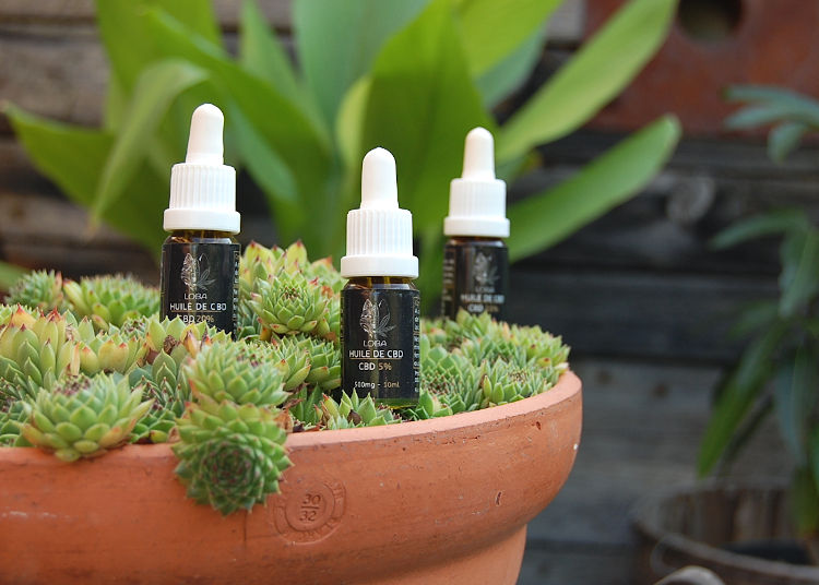 CBD à Montpellier : les boutiques de produits dérivés du chanvre
