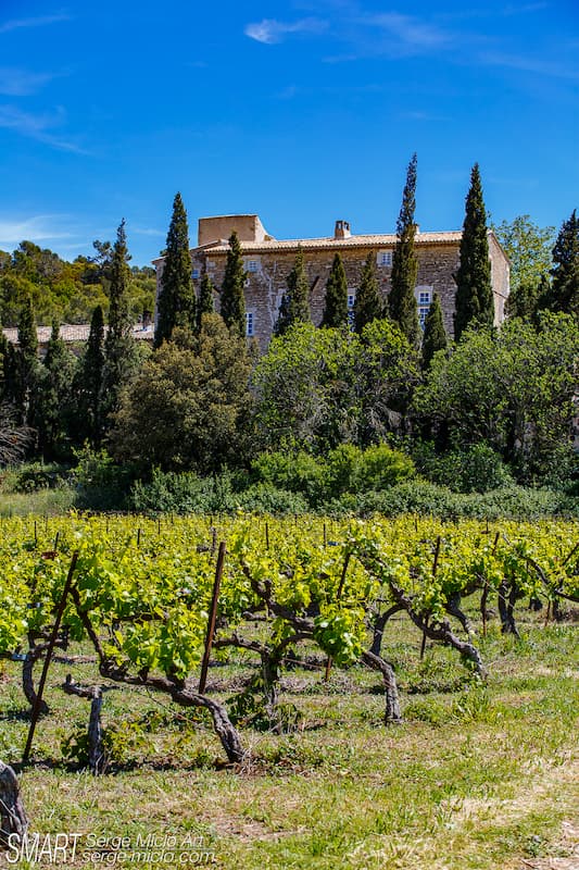 château du petit sonnailler maison d'hôtes avec vignes